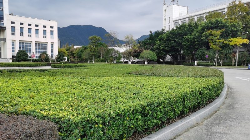 庭院草坪养护设备使用规范全解析