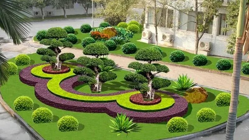 成都苗木种植技术：因地制宜的种植技巧解析